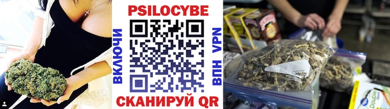 где найти   Кумертау  Галлюциногенные грибы мицелий 